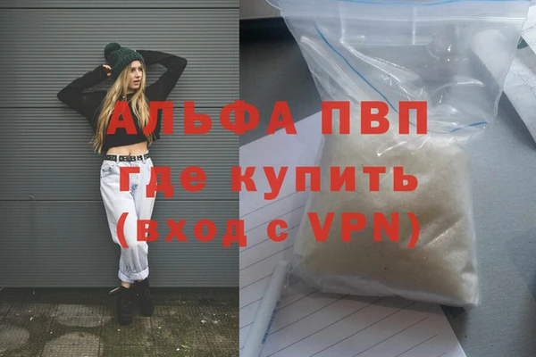 дживик Белокуриха