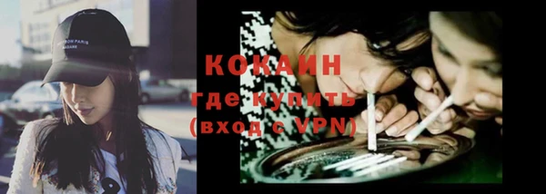 дживик Белокуриха