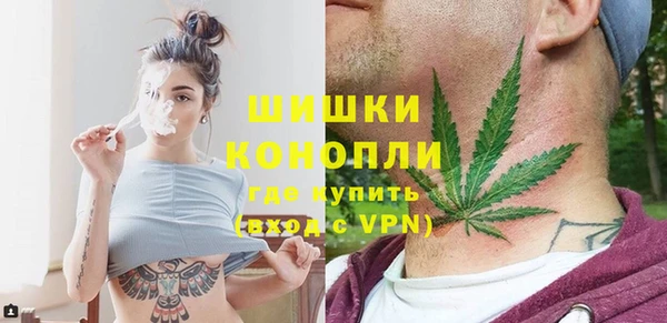 дживик Белокуриха