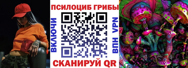 Псилоцибиновые грибы GOLDEN TEACHER где купить наркоту Кинешма